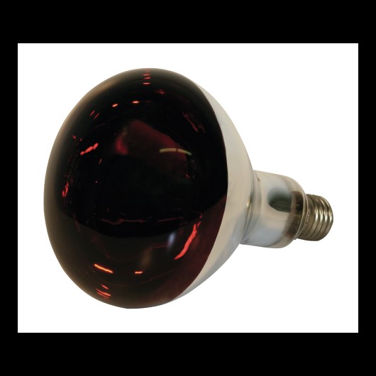 Infrarot-Lampe, 150 W - rot